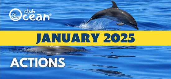 JANUARY 2025 - ClubOcean® Actions