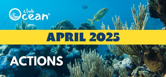 APRIL 2025 - ClubOcean® Actions