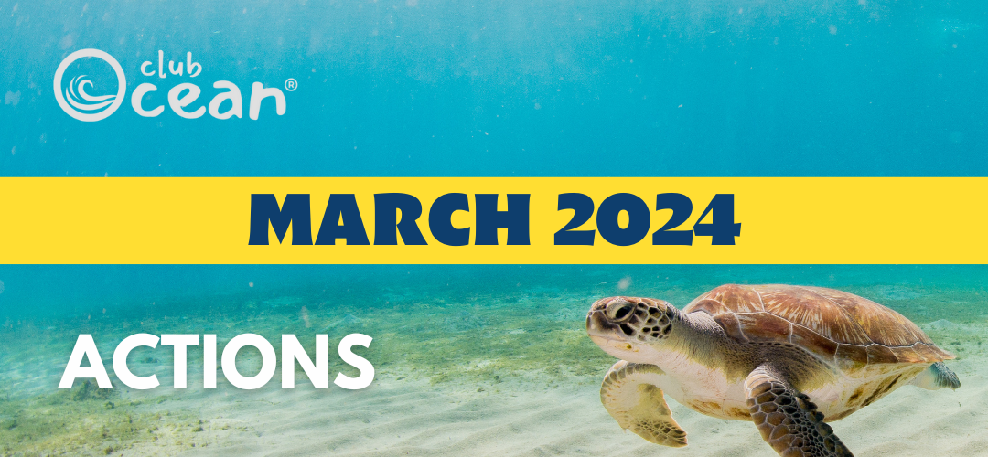 MARS 2024 - ClubOcean® Actions