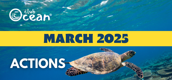 MARCH 2025 - ClubOcean® Actions