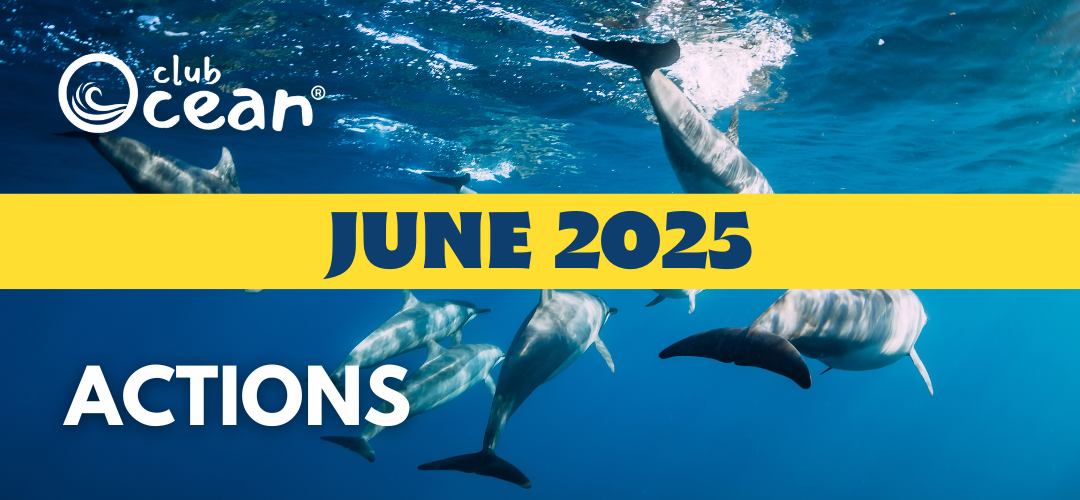 JUNE 2025 - ClubOcean® Actions