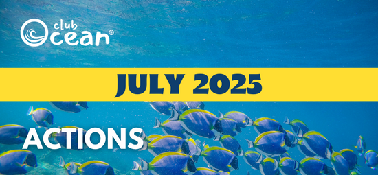 JULY 2025 - ClubOcean® Actions