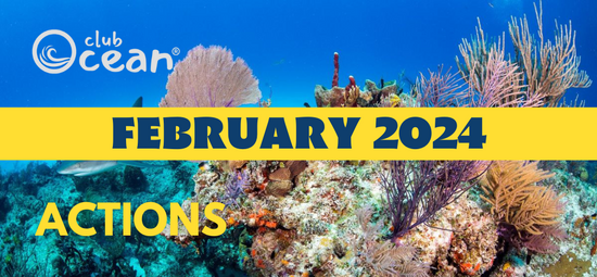 FEBRUARY 2024 - ClubOcean® Actions