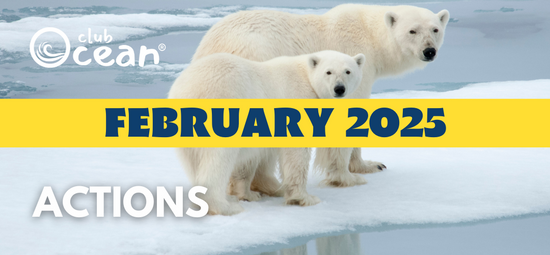 FEBRUARY 2025 - ClubOcean® Actions