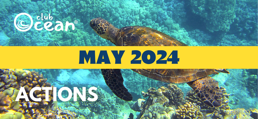 MAY 2024 - ClubOcean® Actions