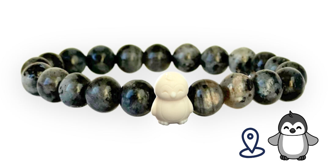 Penguin Tracking Bracelet