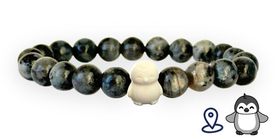 Penguin Tracking Bracelet