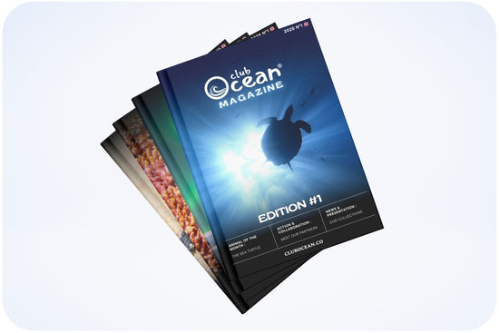 ClubOcean Magazine