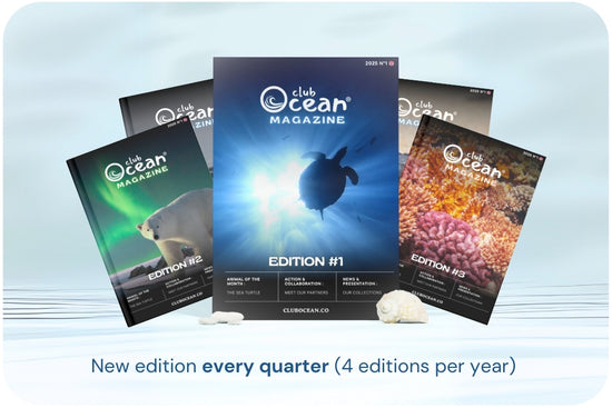ClubOcean Magazine