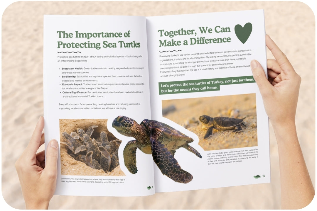 ClubOcean Magazine