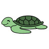 Sea Turtles