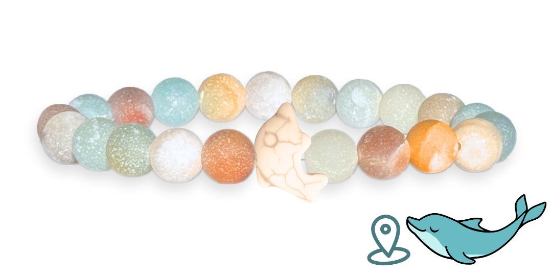 Dolphin Tracking Bracelet