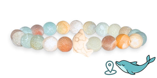 Dolphin Tracking Bracelet