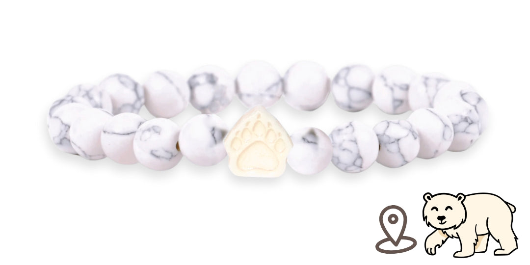Polar Bear Tracking Bracelet