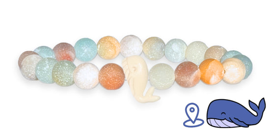 Whale Tracking Bracelet