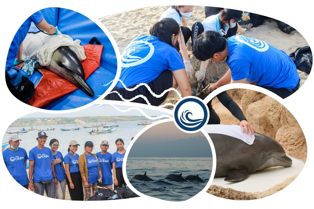 Dolphin Adoption Cap