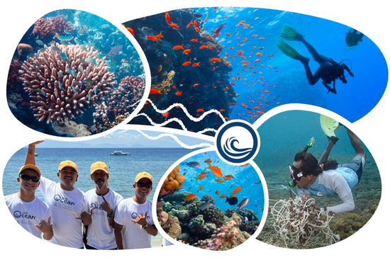 Coral Adoption Cap