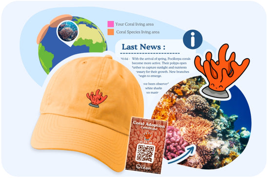 Coral Adoption Cap