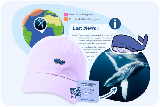 Whale Adoption Cap