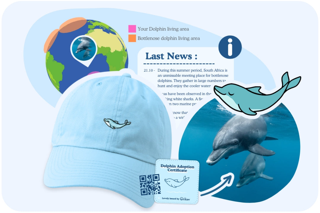Dolphin Adoption Cap