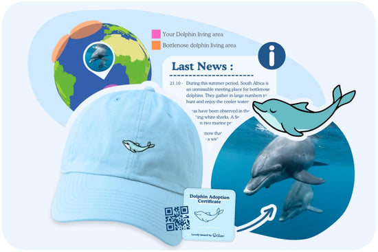 Dolphin Adoption Cap