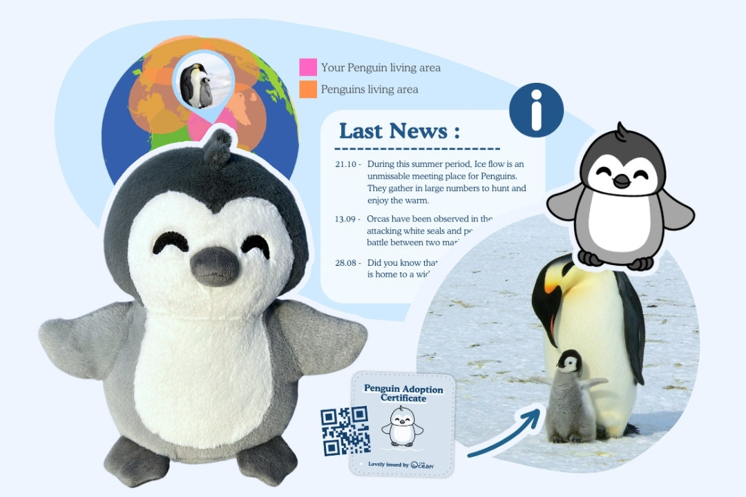 Penguin Adoption Plushie