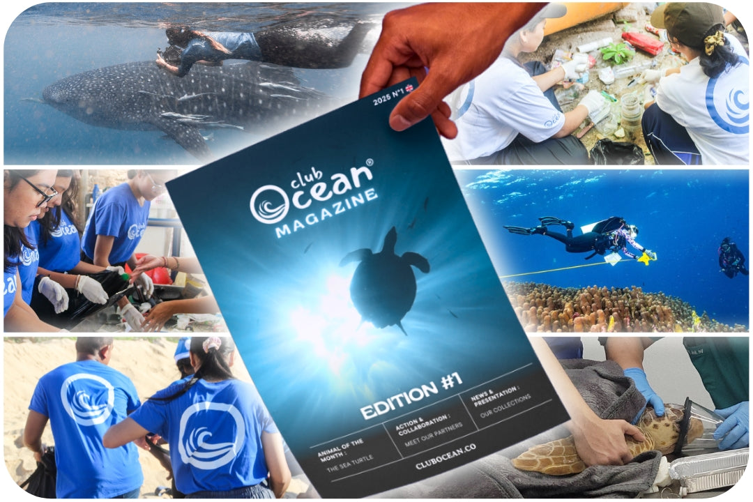 ClubOcean Magazine