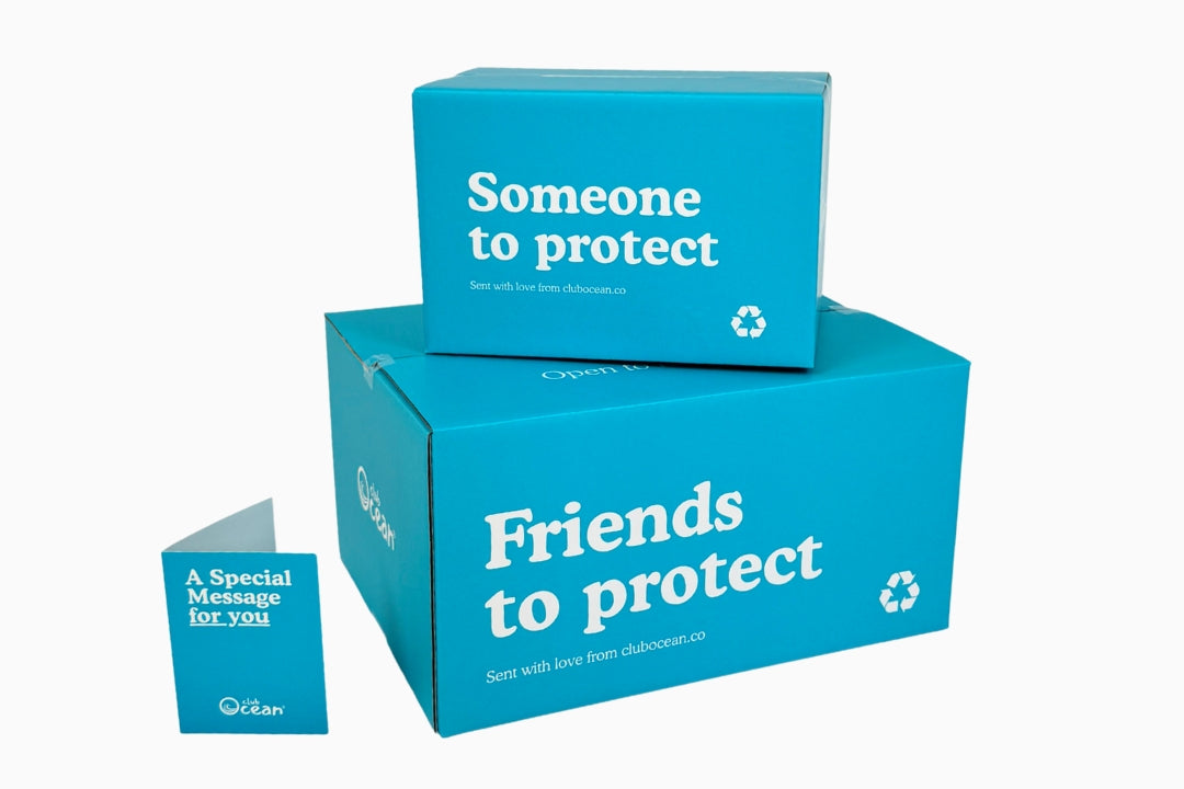 Special Gift Packaging