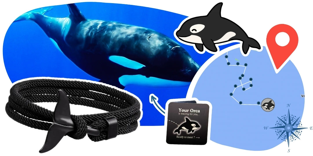Orca Tracking Bracelet