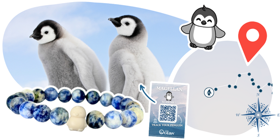 Penguin Tracking Bracelet