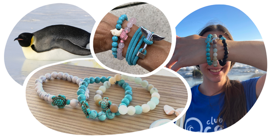 Penguin Tracking Bracelet